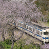 2025/04/04 嘉例川駅のしだれ桜とキハ47