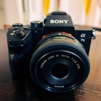 SONY α7III + CANON EF 40mm
