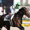 ダービー馬レイデオロ、オークス馬ソウルスターリング　