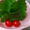 動き出したかな・・・？