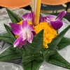 バンコクでタイの伝統行事"ロイクラトン祭り"に参加してきた‼️