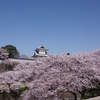 PENTAX K-3で桜「石川門」