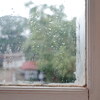 朝から雨で