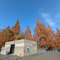 今治のアンテナ