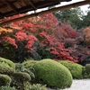 【京都】詩仙堂丈山寺の紅葉が美しい日本庭園