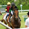 【一口馬主】スターズプレミアくんの新馬戦に行ってきたよ。おさしん多数。