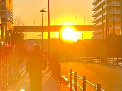 豊洲ぐるり公園ランニング〜夕陽に向かって走る〜