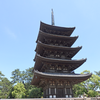 【シカとともに】東大寺・興福寺…世界遺産が集まる奈良公園をぐるっと歩く【電車旅】