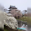 北海道唯一のお城、松前城に行ってみました。