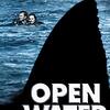 「オープン・ウォーター」（Open Water）のインディーズ的な映像がまた怖い