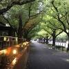 火曜日の朝、雨は残るも午後より晴れ間の予報です （＾Ｏ＾☆♪