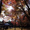 ラリージャパン 2023 観戦記 in 恵那SS
