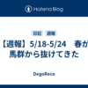 【週報】5/18-5/24　春が馬群から抜けてきた