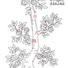数学における編集の妙技「目付字」