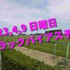 2023,4,9 日曜日 トラックバイアス予想 (中山競馬場、阪神競馬場、福島競馬場)