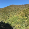 天生峠の紅葉見頃はまだ先だった