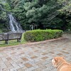 お世話になったＪ２掲示板