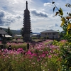 奈良般若寺(はんにゃじ)①・コスモス寺