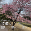 普通の朝ラン10.03km〜3月16日〜