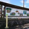 「東の松島・西の象潟」と呼ばれた！？　にかほ市象潟町をぶらり町歩きを行いました