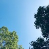 ８月２２日