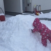 秋田県で毎日雪かきに追われたときの話