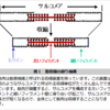 筋肉はどうやって動くのか？（ミクロの動き編）