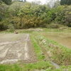 田植えの準備、始まってます