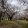 家庭菜園奮闘記　その58