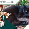 お盆休みファーストデイ。（土曜日、曇り）