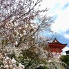 社寺めぐりウォーク（清水寺～八坂神社）