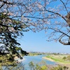 多摩川沿いのお花見スポットをハシゴ | 多摩川台公園 〜六郷用水跡～桜坂