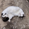 寒さなんかへっちゃら？