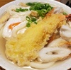 天ぷらうどん