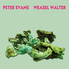 Peter Evans and Weasel Walter / Poisonous