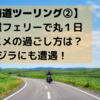 【北海道ツーリング②】新日本海フェリーで丸１日　オススメの過ごし方とは？クジラにも遭遇！