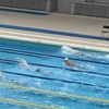 高校水泳部　東京都高等学校春季水泳競技大会　出場報告