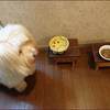 トンビに油揚げの思い出★ベンチはここに