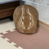 一気に寒くなってきましたね