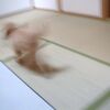元気全開