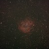 NGC2244 ばら星雲