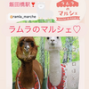 ♡うれしいお知らせ♡