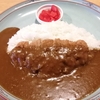 医大生も通った昭和レトロなカレー専門店でカレーを食す　（２回目）