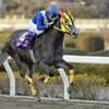 140219浦和競馬場＜ユングフラウ賞＞