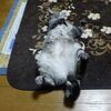 寒くなって　啓蟄ってのもな～