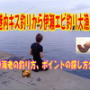 港内キス釣り～伊勢エビ釣り大漁