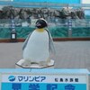 マリンピア松島水族館のクリスマス