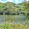 眞奥溜池（島根県隠岐島）