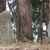 田大神塔と馬頭大神塔（横手市平鹿町下鍋倉・沖掵神社参道脇）