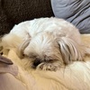1日中眠たかった